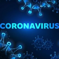Coronavirus en Belgique :
