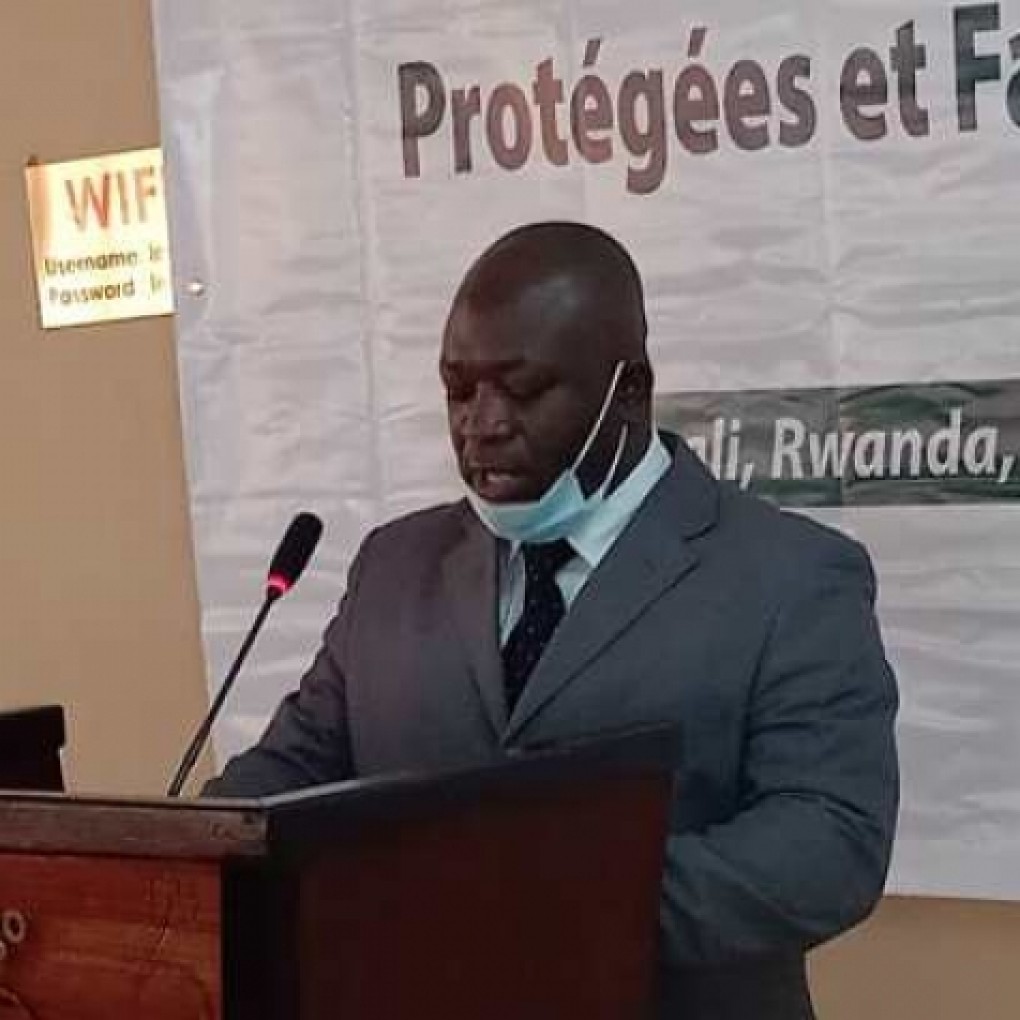 Des experts de la conservation forestière réunis à Kigali pour discuter de l’avenir des Aires protégées et de la Faune sauvage d’Afrique Centrale