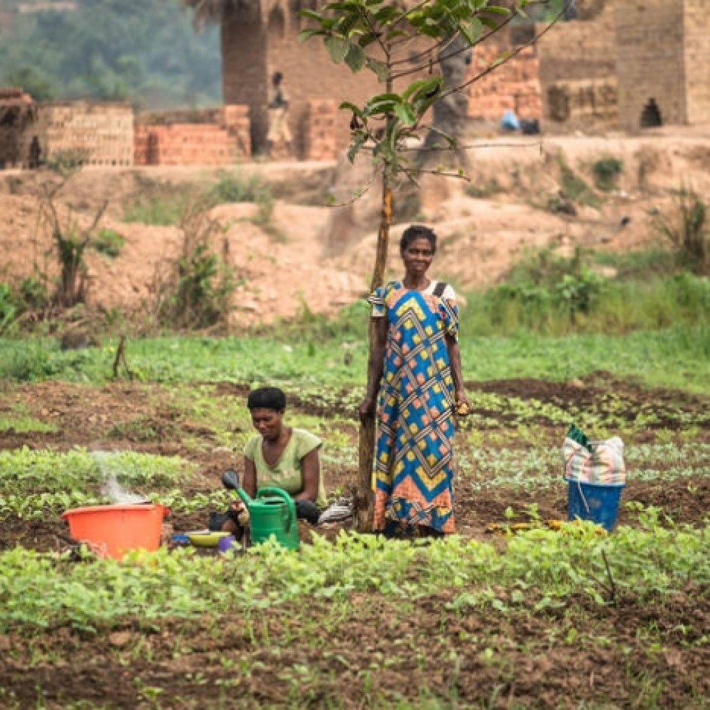 RDC: un tiers de la population est confrontée à la faim et la situation risque de s’aggraver, avertissent le PAM et la FAO