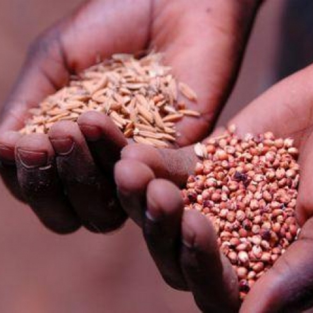 La lutte contre la faim dans le monde reste encore un long chemin