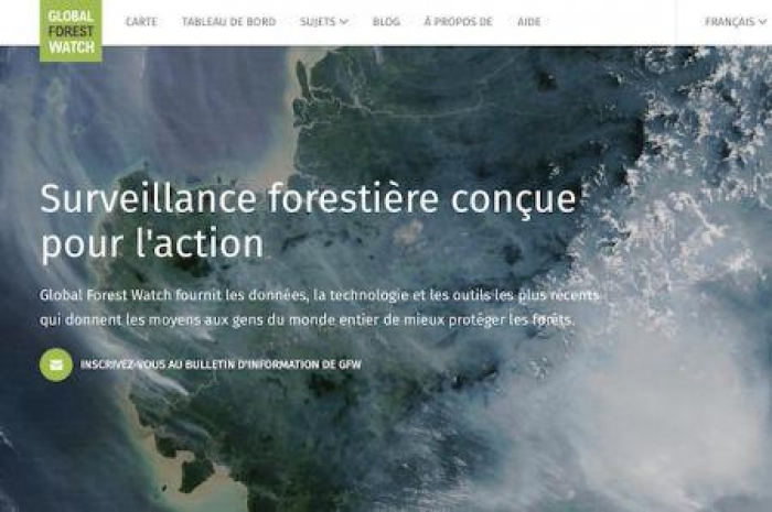 Comment l’Afrique s’est emparée d’une nouvelle technologie pour protéger ses forêts