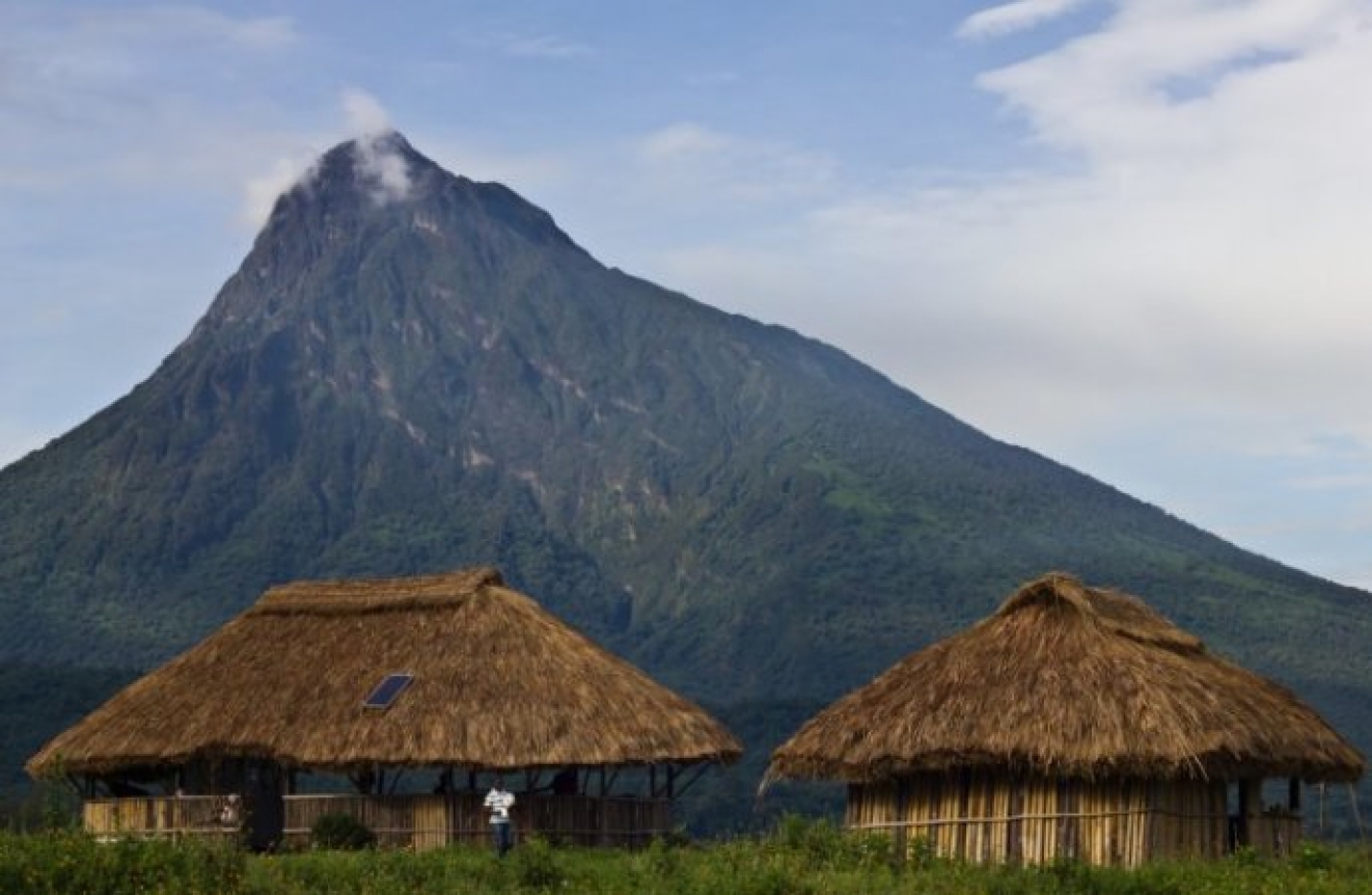 RDC: des agents de l’organisme de tutelle des Virunga visés par une enquête militaire