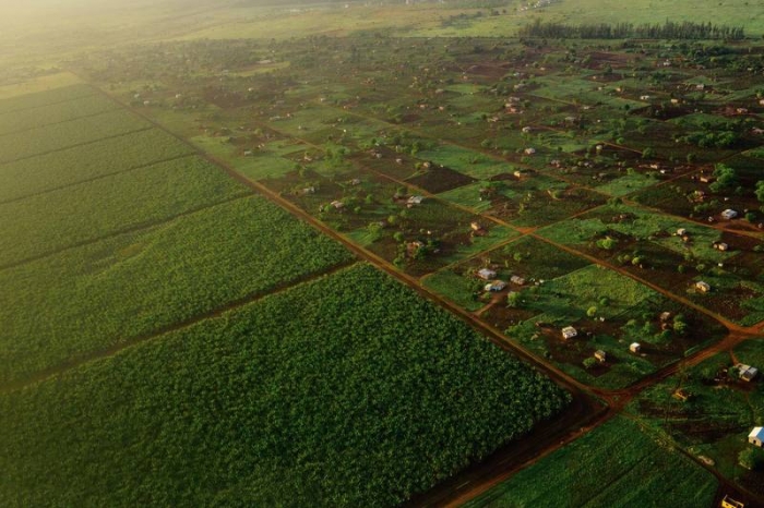 Rwanda: Cinq changements majeurs dans le projet de loi foncière