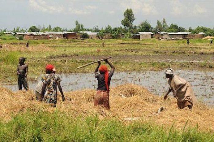 Burundi : la BAD accorde 20 millions $ pour renforcer la sécurité alimentaire et nutritionnelle de 2,7 millions d’habitants