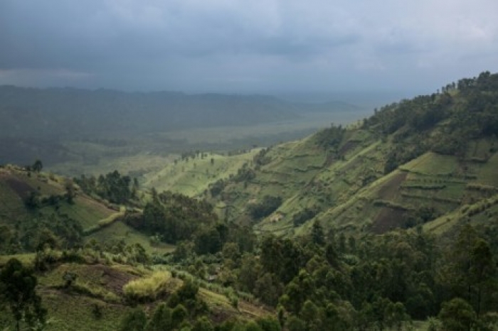 RDC: un écogarde tué dans le parc national des Virunga