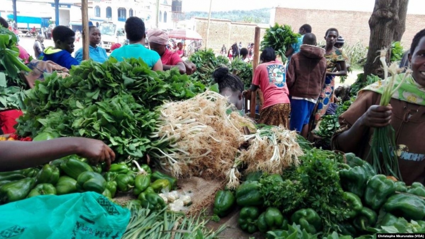 Burundi : les acheteurs craignent une flambée incontrôlée de prix conséquente à la crise des criquets pèlerins