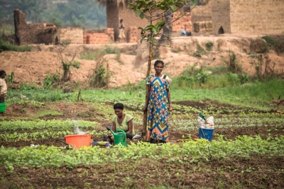 RDC: un tiers de la population est confrontée à la faim et la situation risque de s’aggraver, avertissent le PAM et la FAO