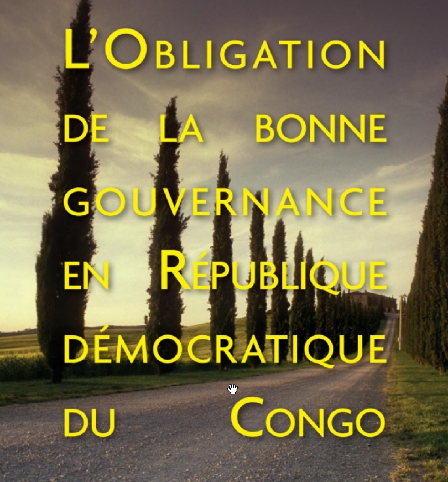 L’Obligation de la bonne gouvernance en République démocratique du Congo Format Kindle