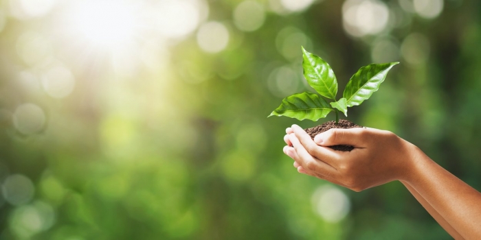 Urgence climatique : Les chrétiens s’engagent